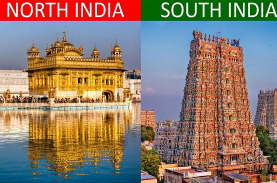 North vs South India: Which Region Offers the Best Travel Experience?
