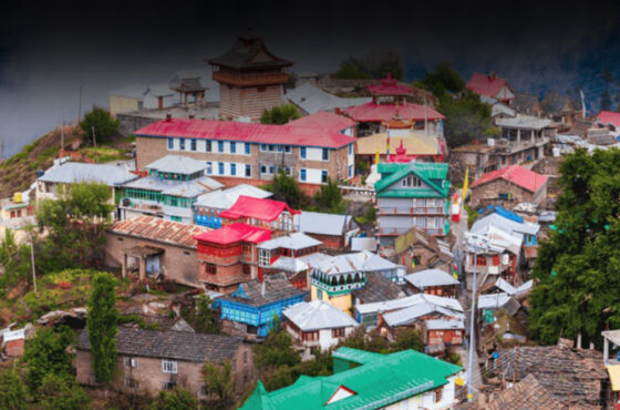 Love in the Hills of Himachal