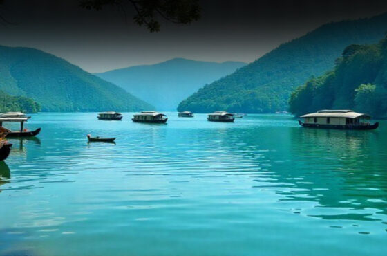 Munnar Vibes, Thekkady Thrills